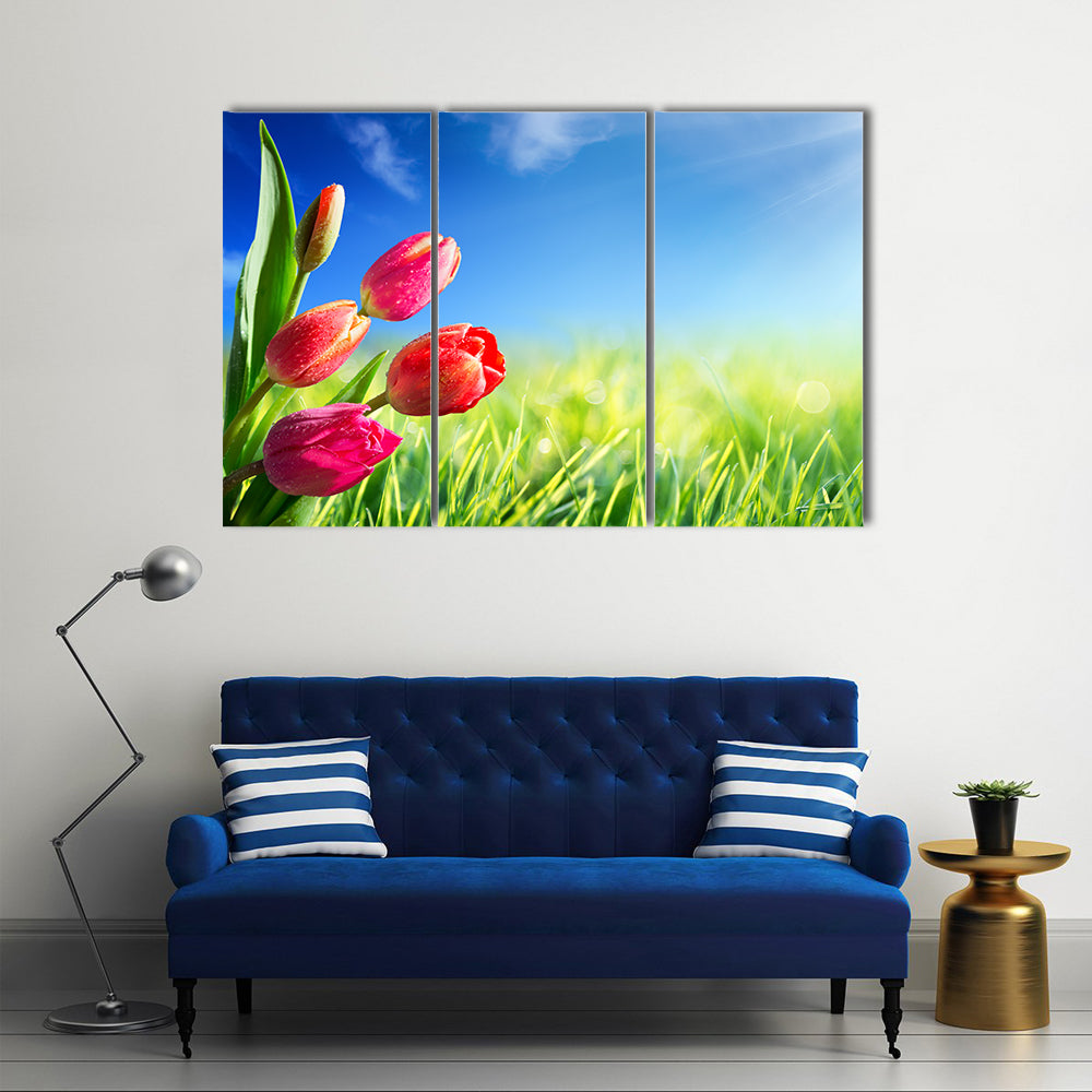 Sunny Spring Tulips in Meadow Canvas Wall Art