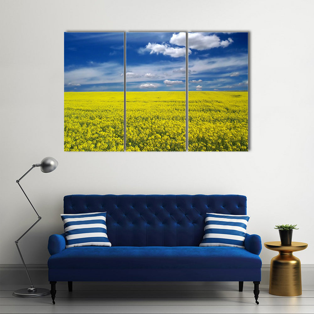 Golden Canola Field Canvas Wall Art