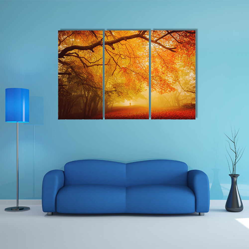 Seasonal Forest Fall Walk Canvas Wall Art