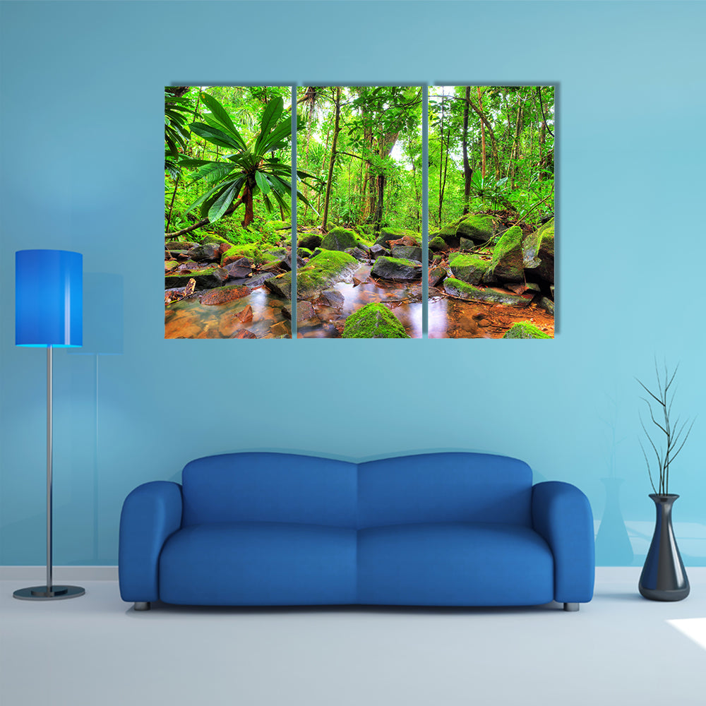 Masoala National Park in Madagascar Canvas Wall Art