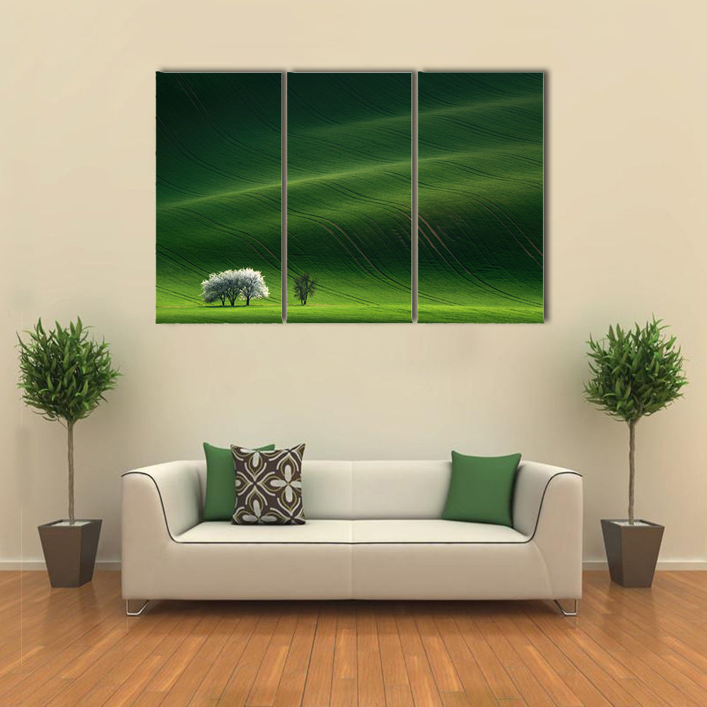 Moravian Green Rolling In Czech Republic Canvas Wall Art