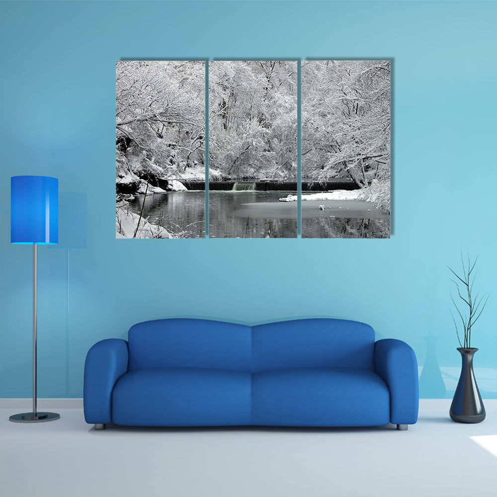 Snow Covered Fairmount Park In Philadelphia Canvas Wall Art