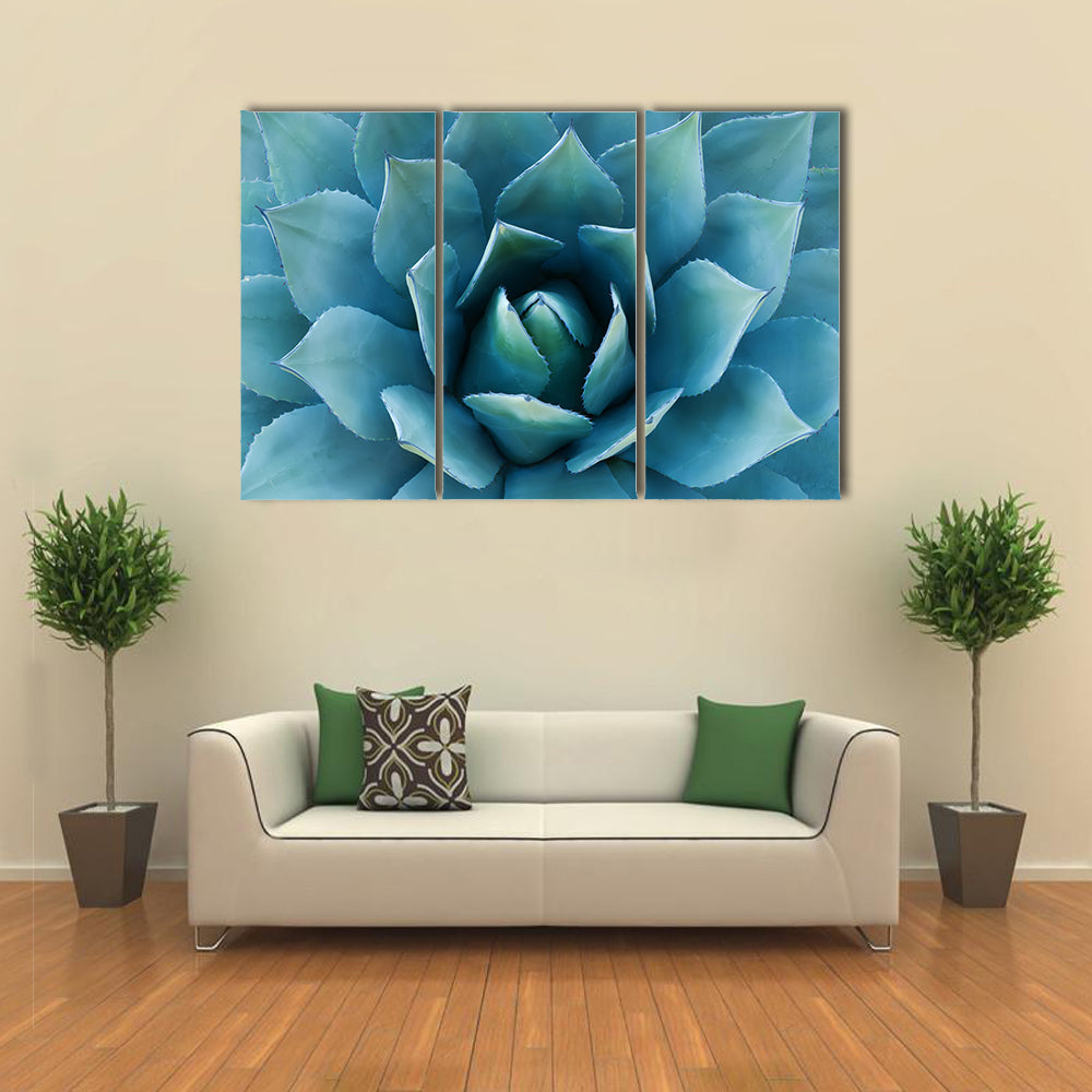 Closeup Of An Agave Plant Canvas Wall Art