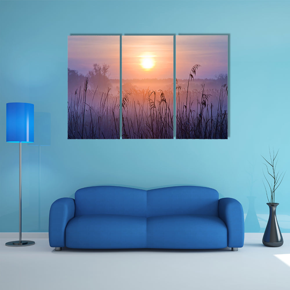 Shallow Depth Of Field At Sunset Canvas Wall Art