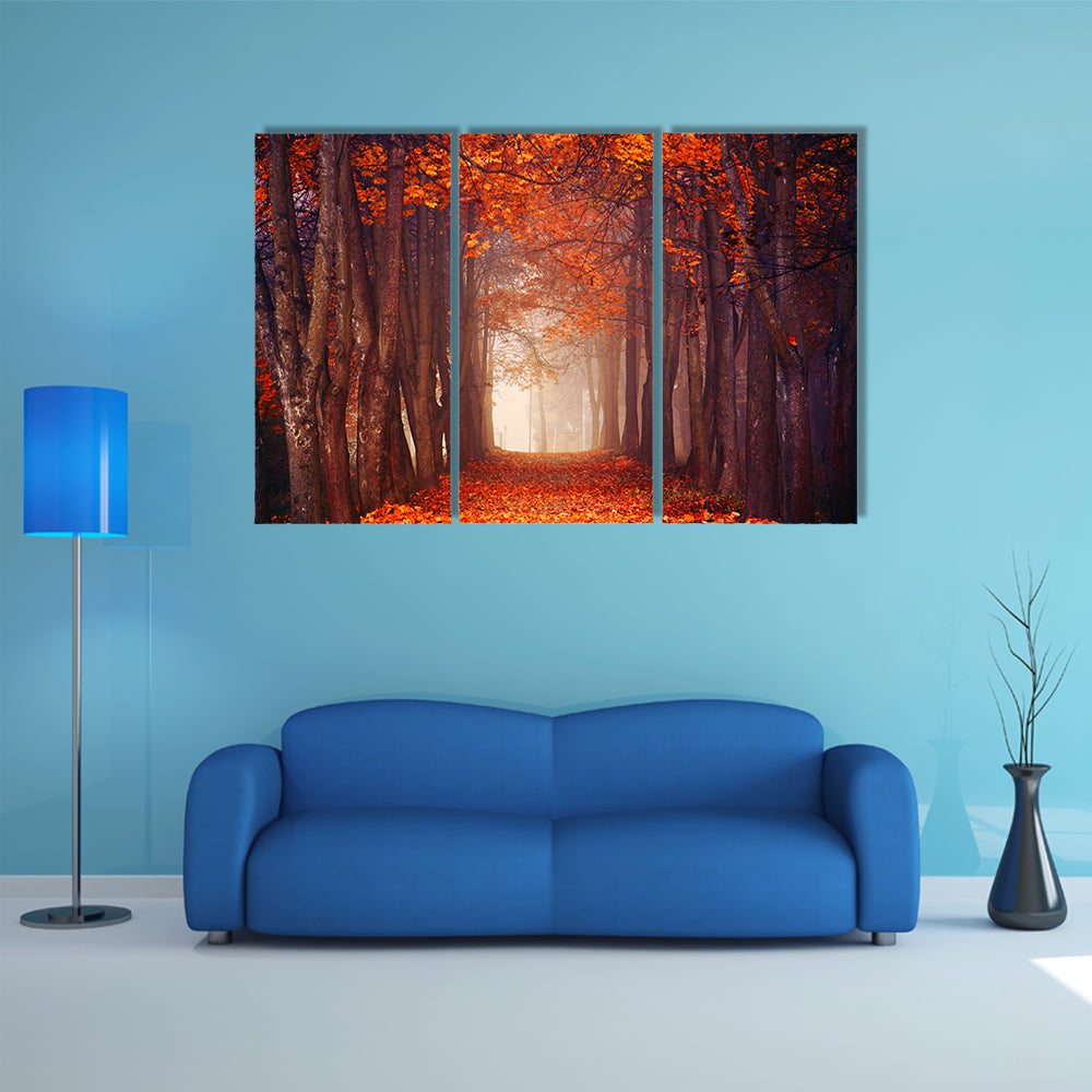Autumn Misty Forest Canvas Wall Art