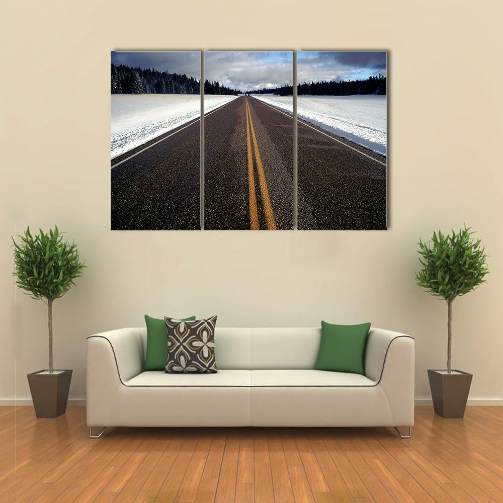 Straight Strip Of Road In Winter Canvas Wall Art