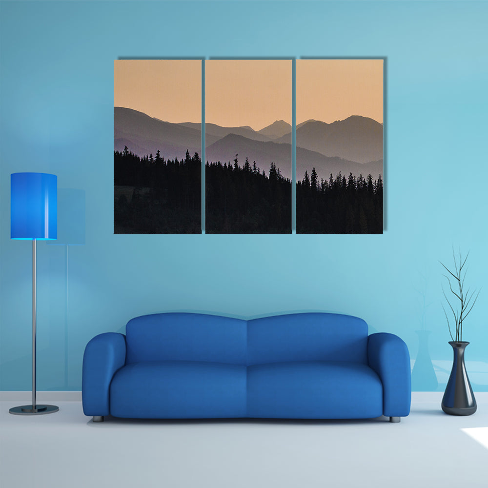 Early Morning Mist On Forest Mountain Canvas Wall Art