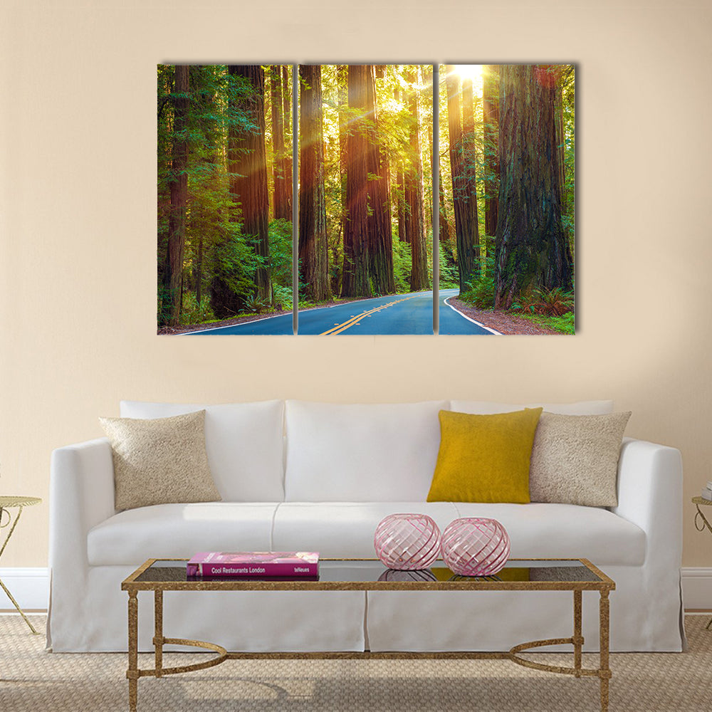 Redwood Highway In Northern California Canvas Wall Art