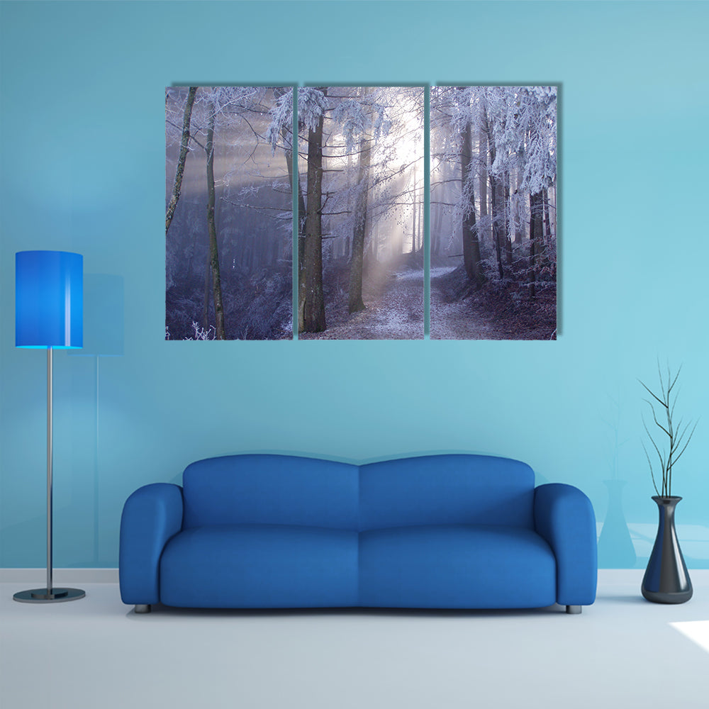 Mystic Forest Track Canvas Wall Art