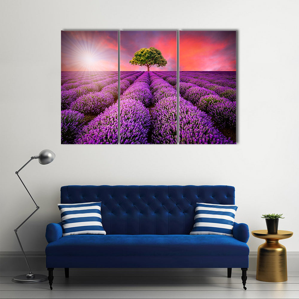 Lavender Field At Sunset Canvas Wall Art