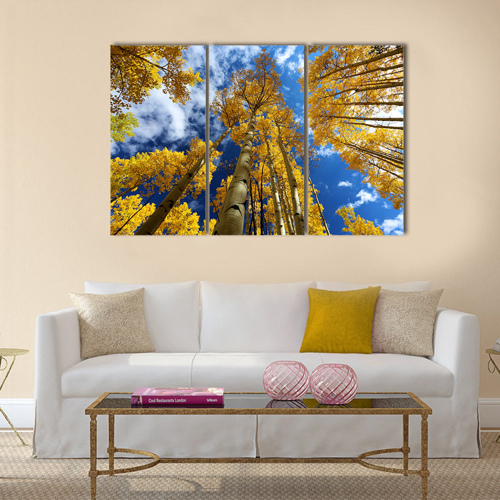 Golden Autumn Aspen Canopy Canvas Wall Art in gold, yellow and blue, 3 panel horizontal set hung on a wall
