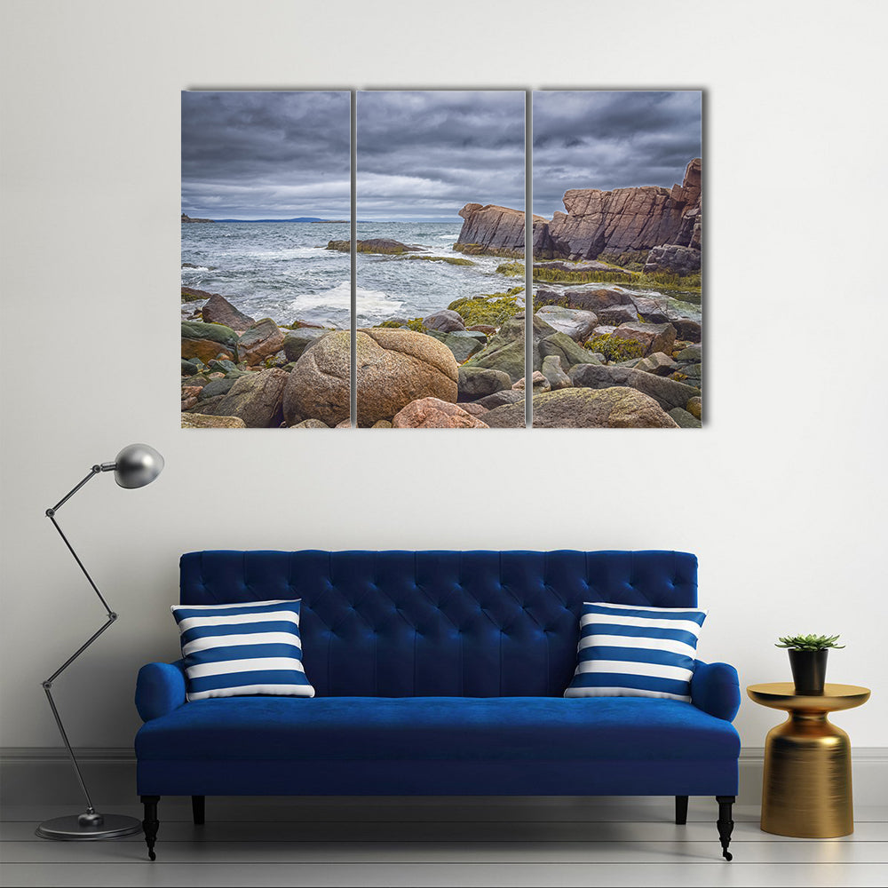 Rocky Coastline at Acadia National Park Canvas Wall Art