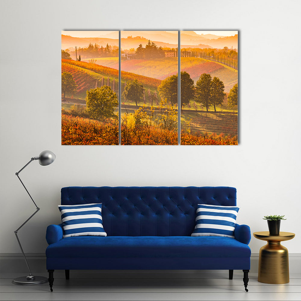 Italian Vineyards and Rolling Hills Canvas Wall Art