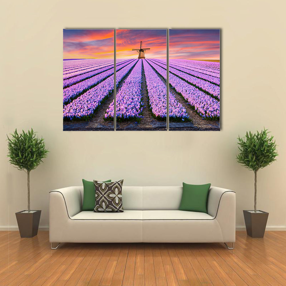 Spring Scene On The Flowers Farm In Netherlands Canvas Wall Art