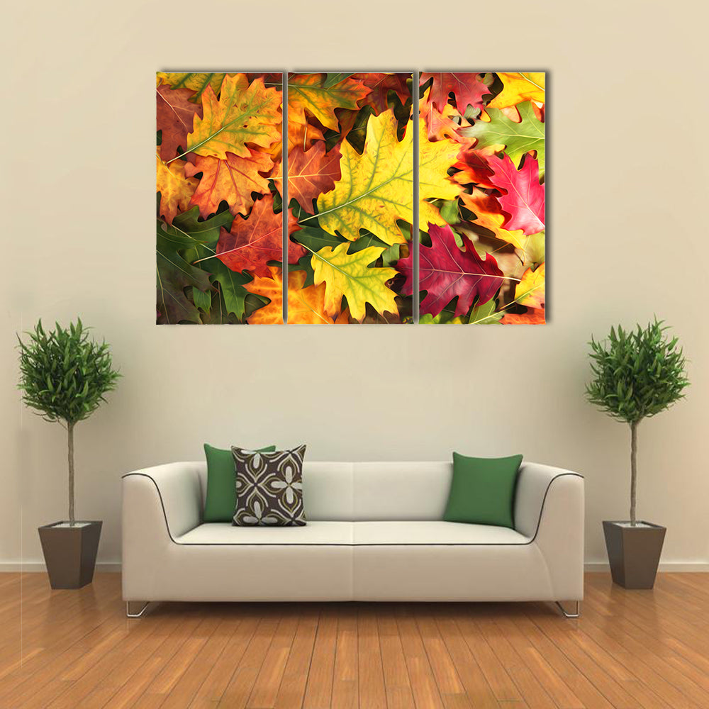 Colorful Oak Autumn Season Leaves Canvas Wall Art