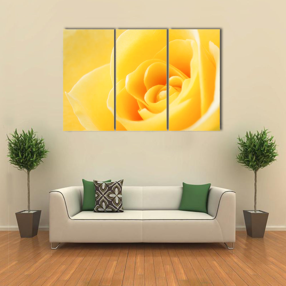 Yellow Rose Close-Up Canvas Wall Art