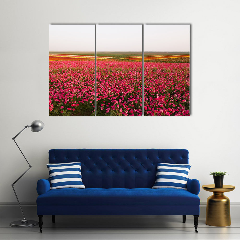 Field of Spring Flowers Canvas Wall Art in white, green and pink, 3 panel horizontal set hung on a wall