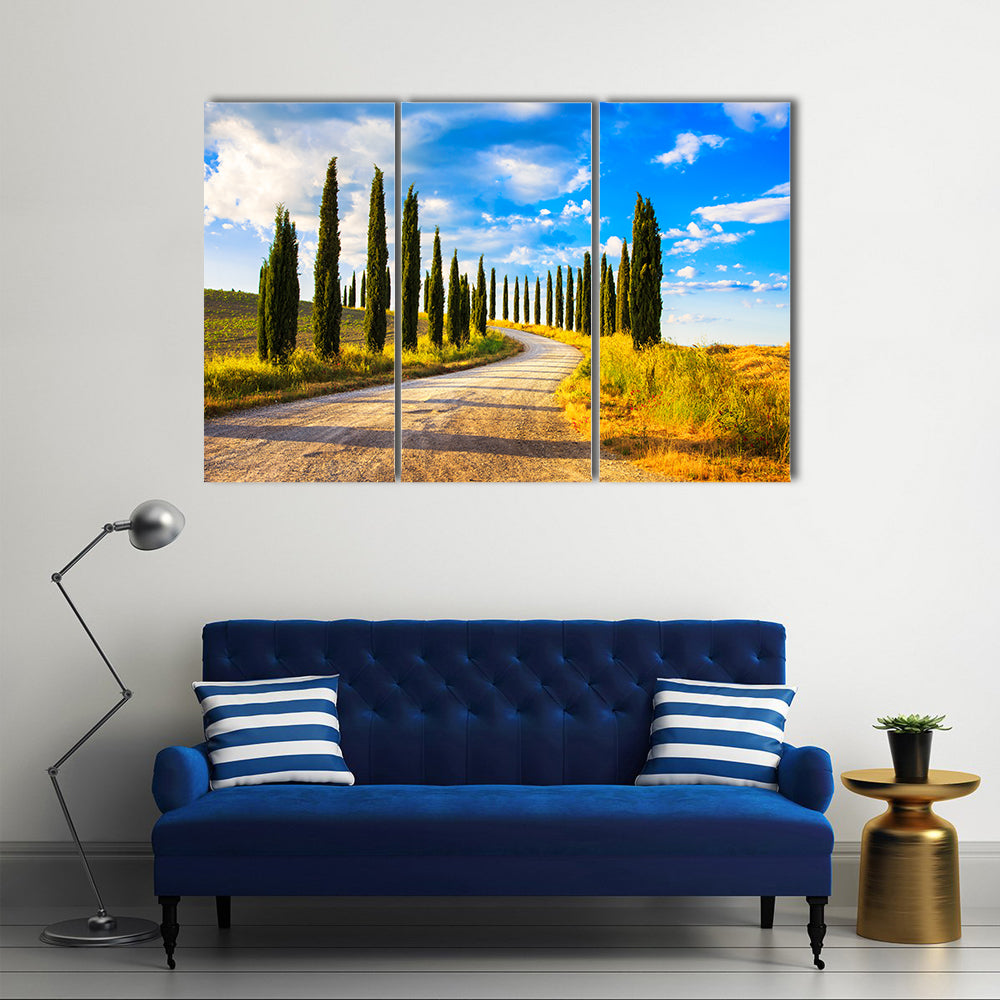 Tuscany Cypress Trees Along Winding Road Canvas Wall Art
