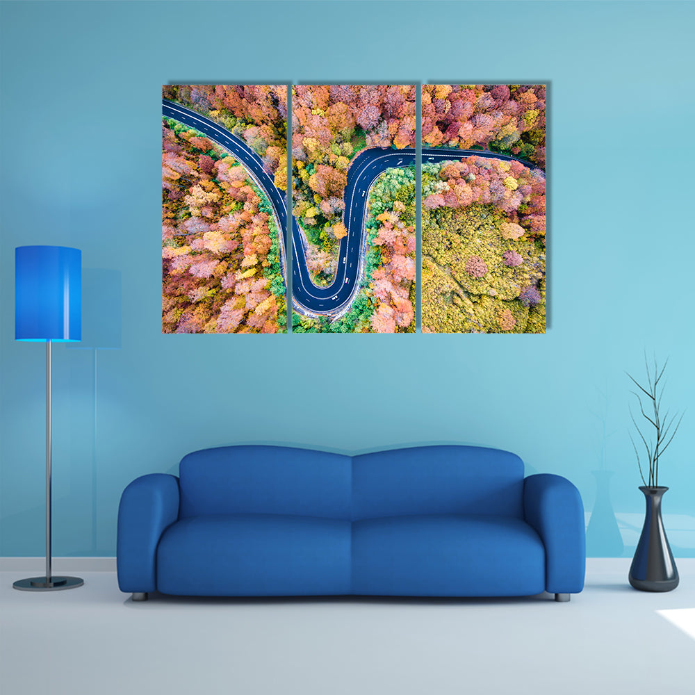 Curved Winding Road Through The Forest Canvas Wall Art