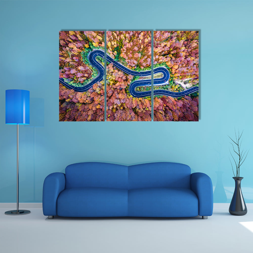 Curved Winding Road Through The Forest Canvas Wall Art