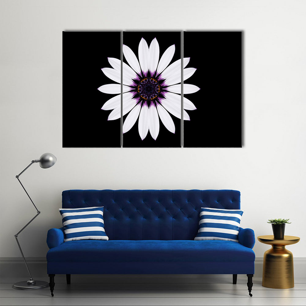 White Flower Mandala Canvas Wall Art0