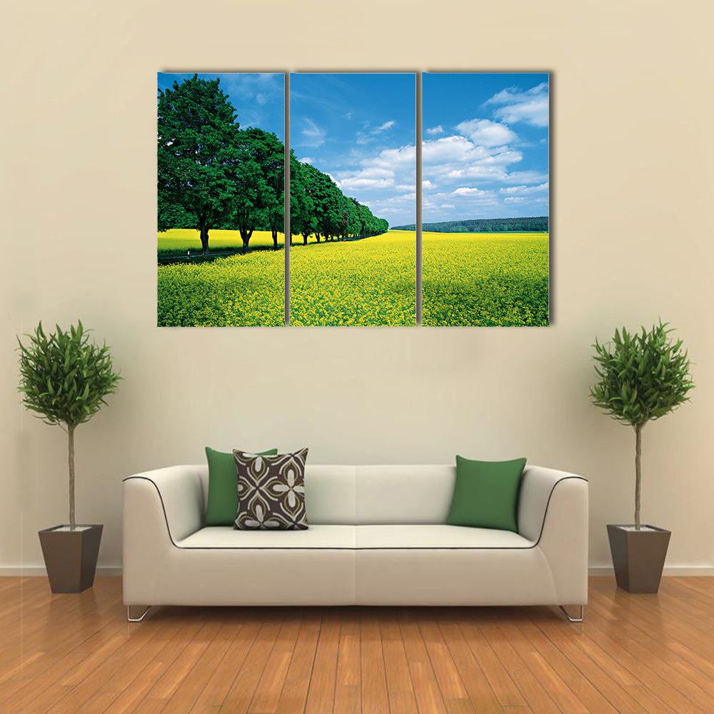 Spring Fields And Allee In Summer Canvas Wall Art