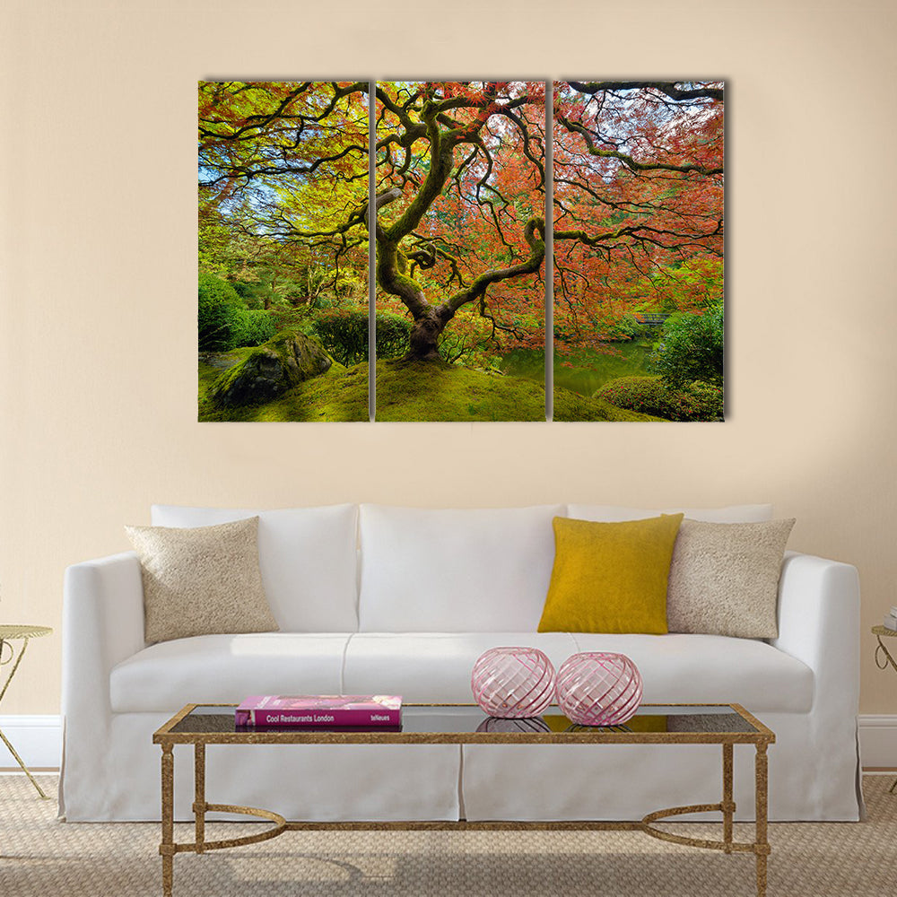 Gnarled Japanese Maple Tree in Portland Canvas Wall Art in red, orange and green, framed print, product view on a white background