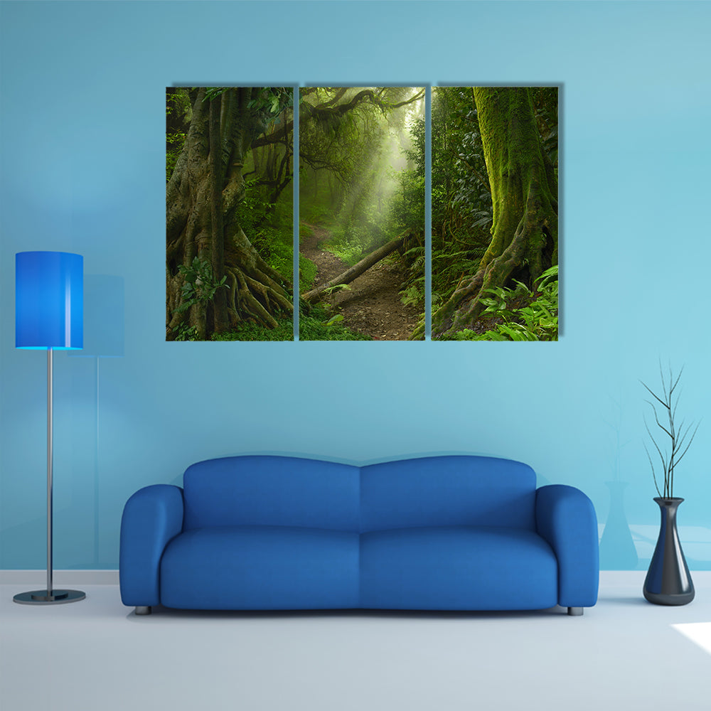 Asian Rain Forest With Sun Rays Canvas Wall Art