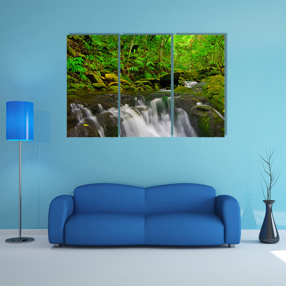 Stream Flowing Through Lush Jungle In Maui Hawaii Canvas Wall Art