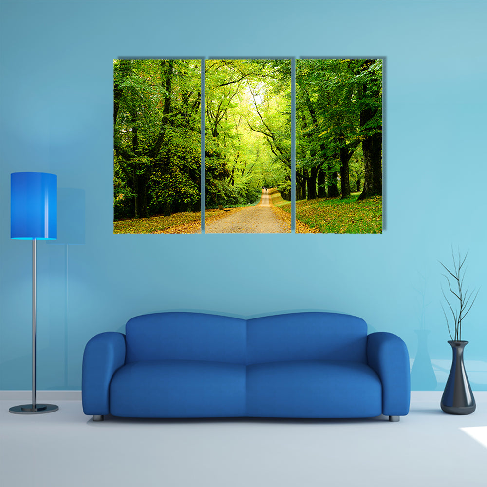 Path In The Forest Woods Canvas Wall Art