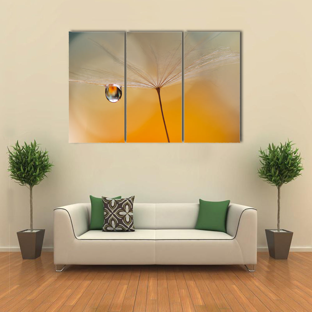 Dandelion Seed with Water Droplet Canvas Wall Art