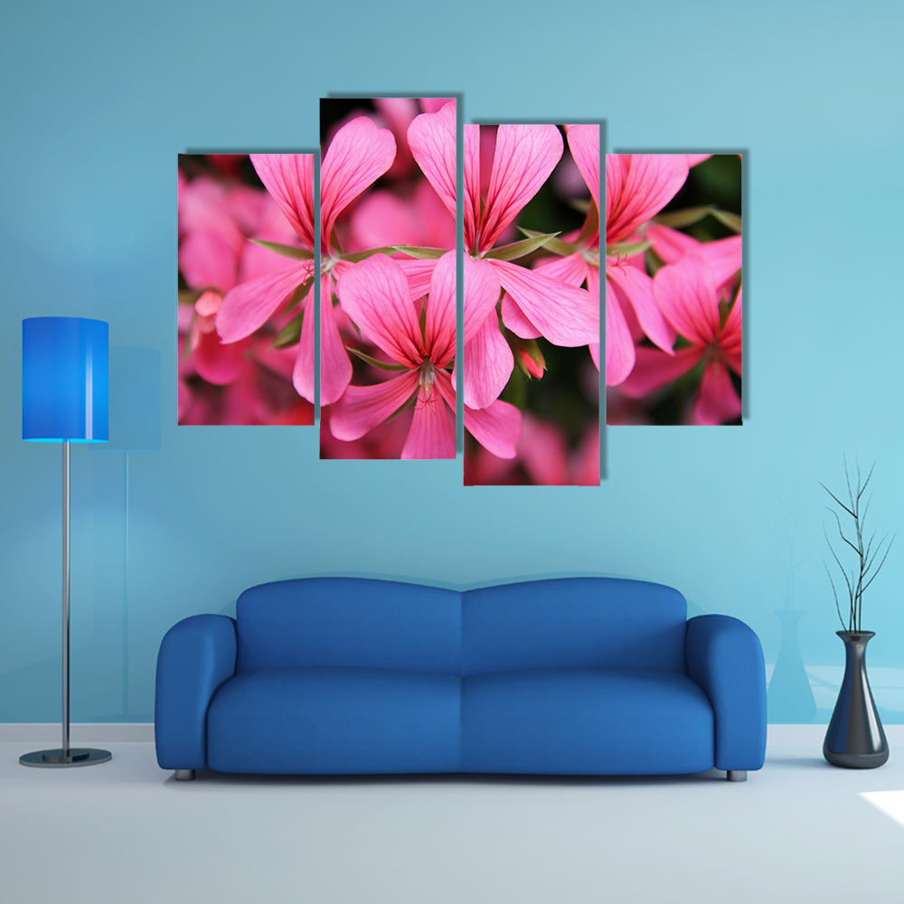 Pink Geranium Cascade Flowers Canvas Wall Art