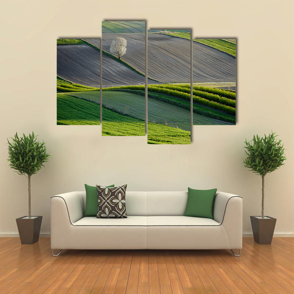 Wavy Fields In Poland Canvas Wall Art