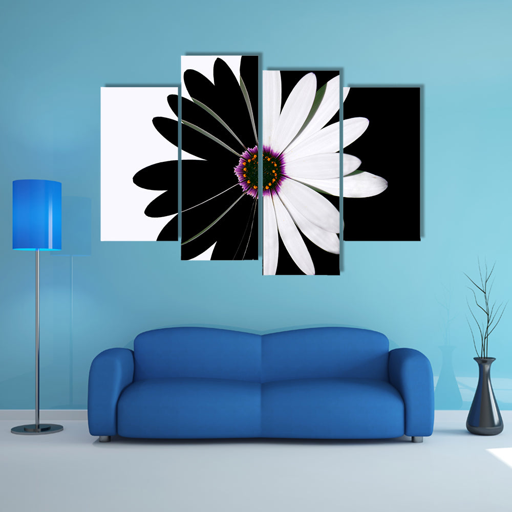Black And White Flower Canvas Wall Art