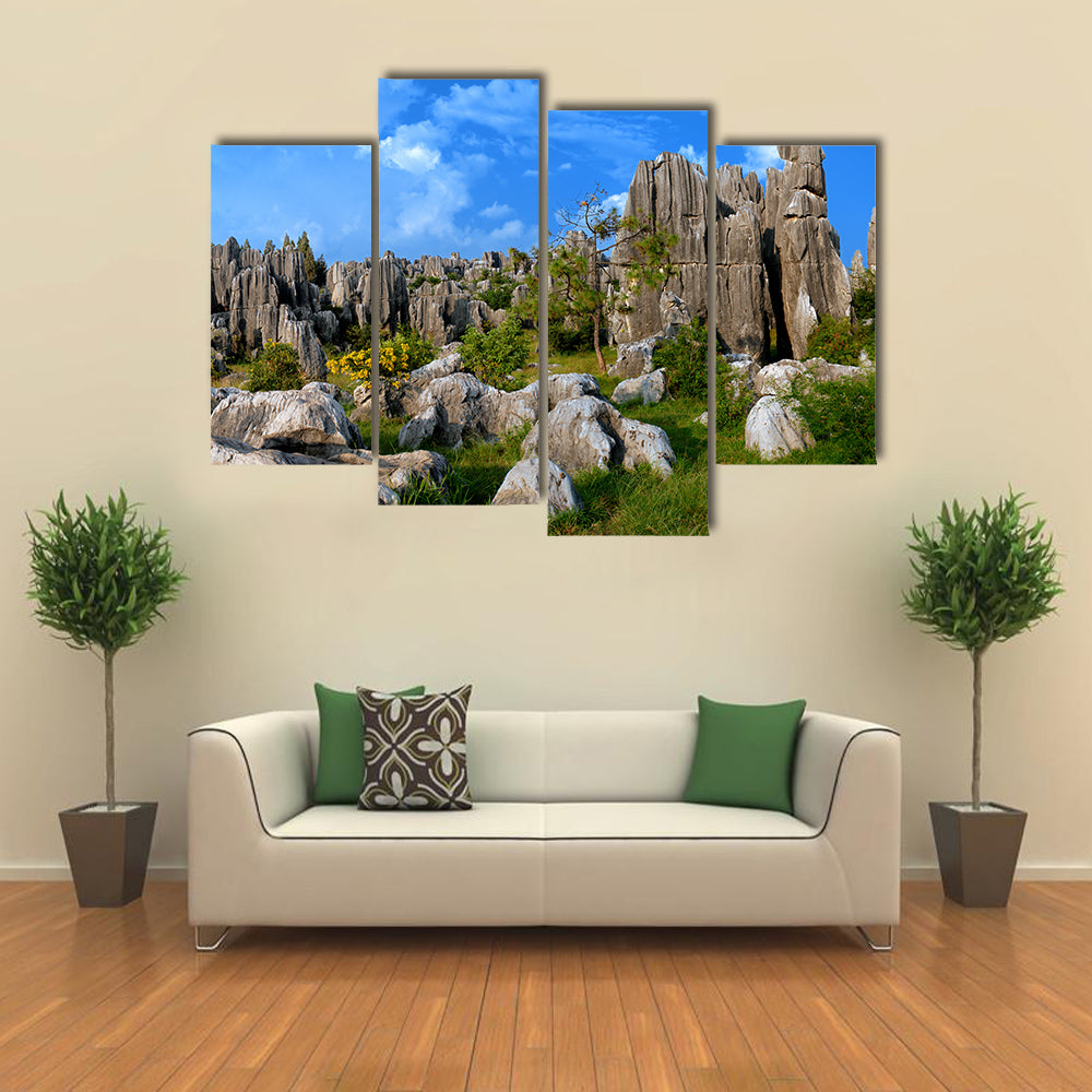 Stone Forest In Yunnan China Canvas Wall Art