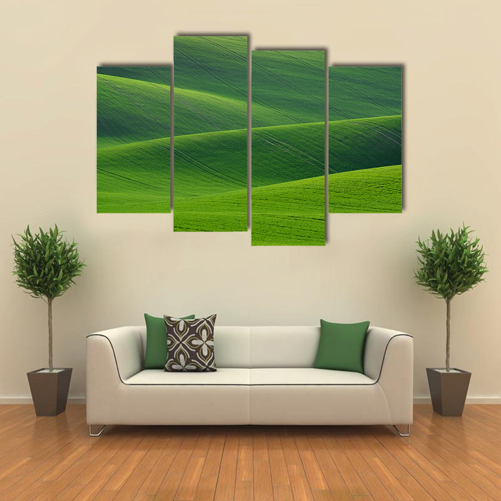 Rolling Green Hills in South Moravia Canvas Wall Art