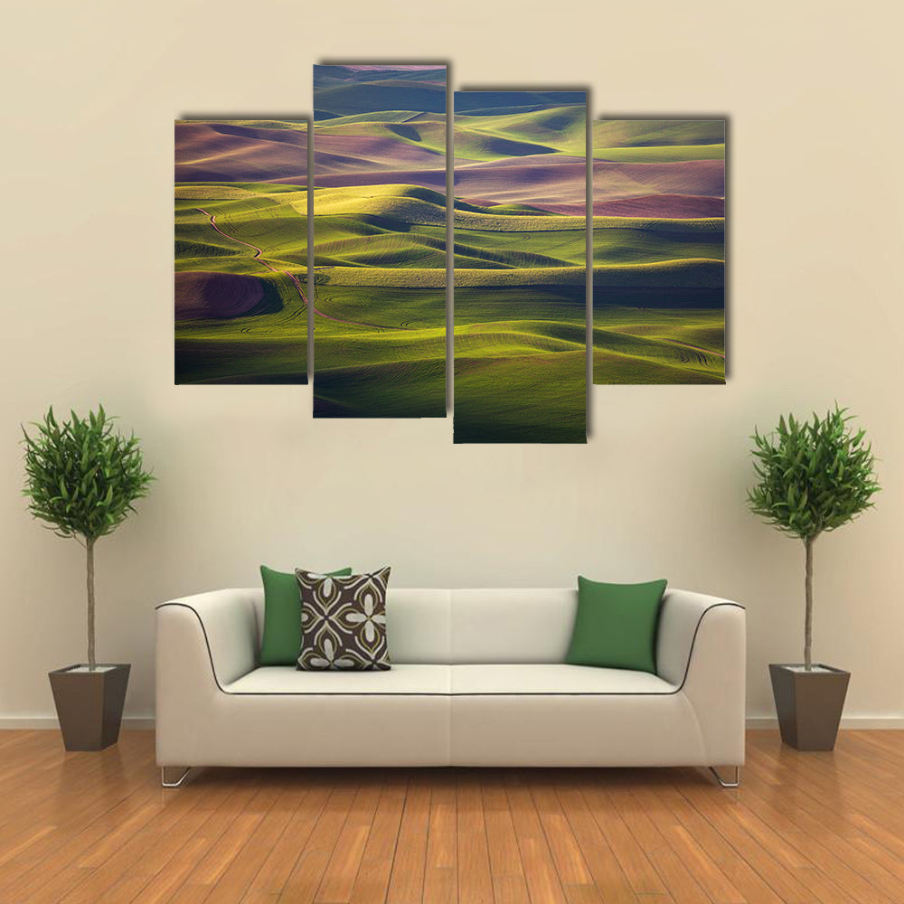 Palouse Rolling Hills at Golden Hour Canvas Wall Art