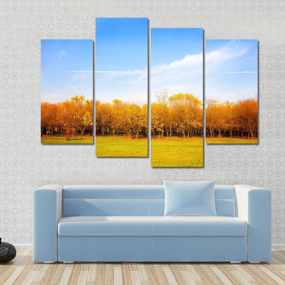 Autumn Meadow with Golden Leaves Canvas Wall Art