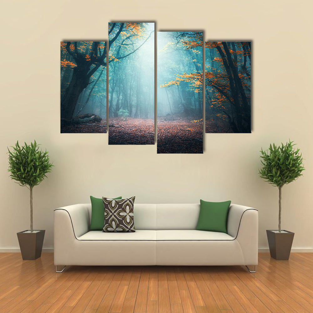 Mystical Forest in Autumn Canvas Wall Art