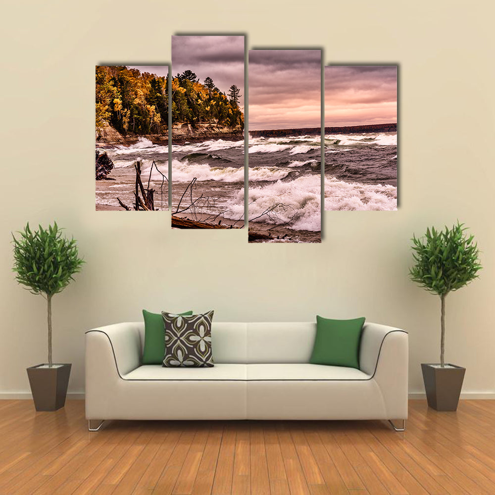 Driftwood on Autumn Lakeshore Canvas Wall Art