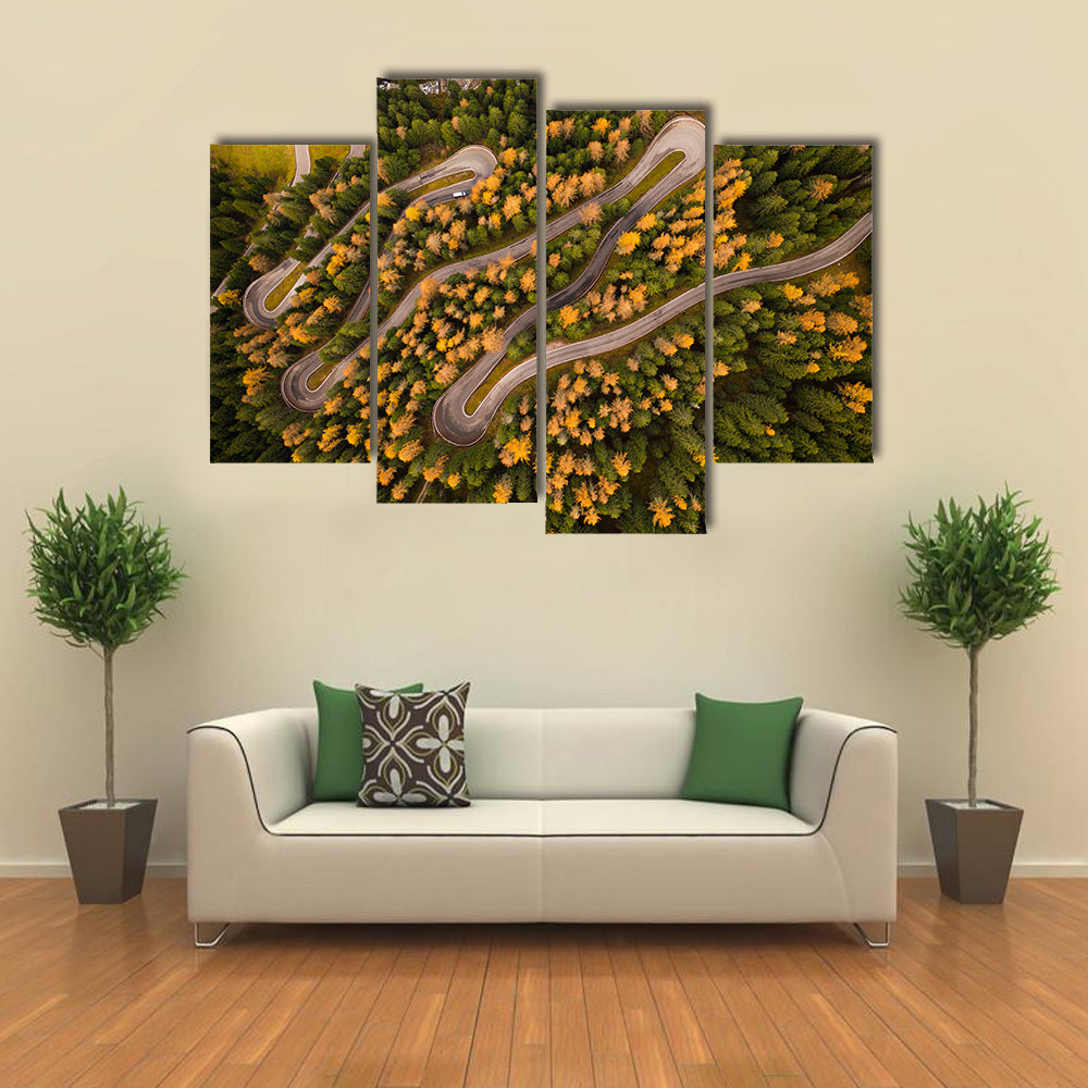 Curvy Road In Autumn Forest Canvas Wall Art