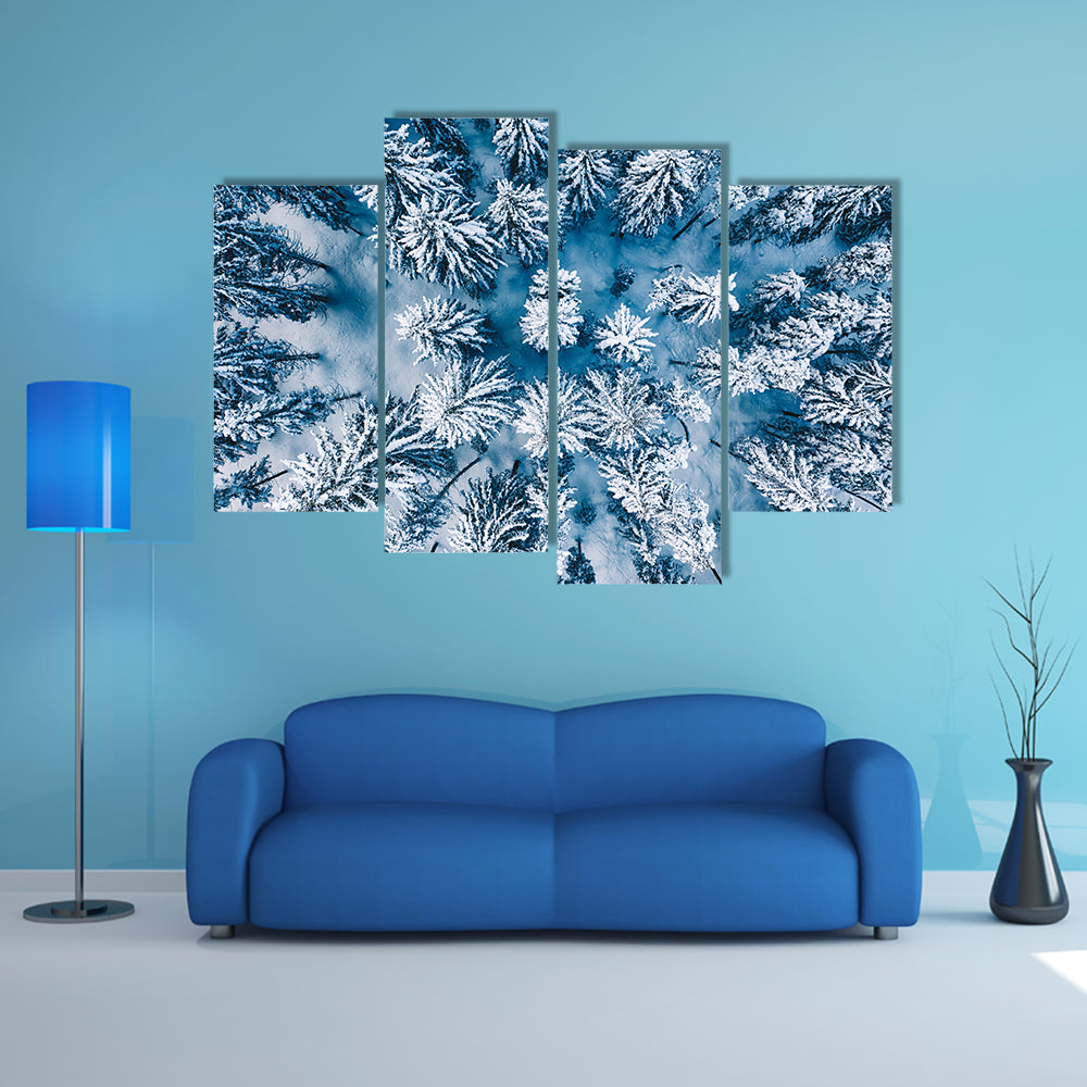 Trees And Snow In Winter Forest Canvas Wall Art