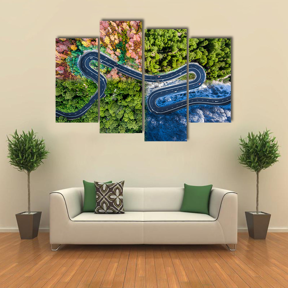 Highway Through The Forest Canvas Wall Art