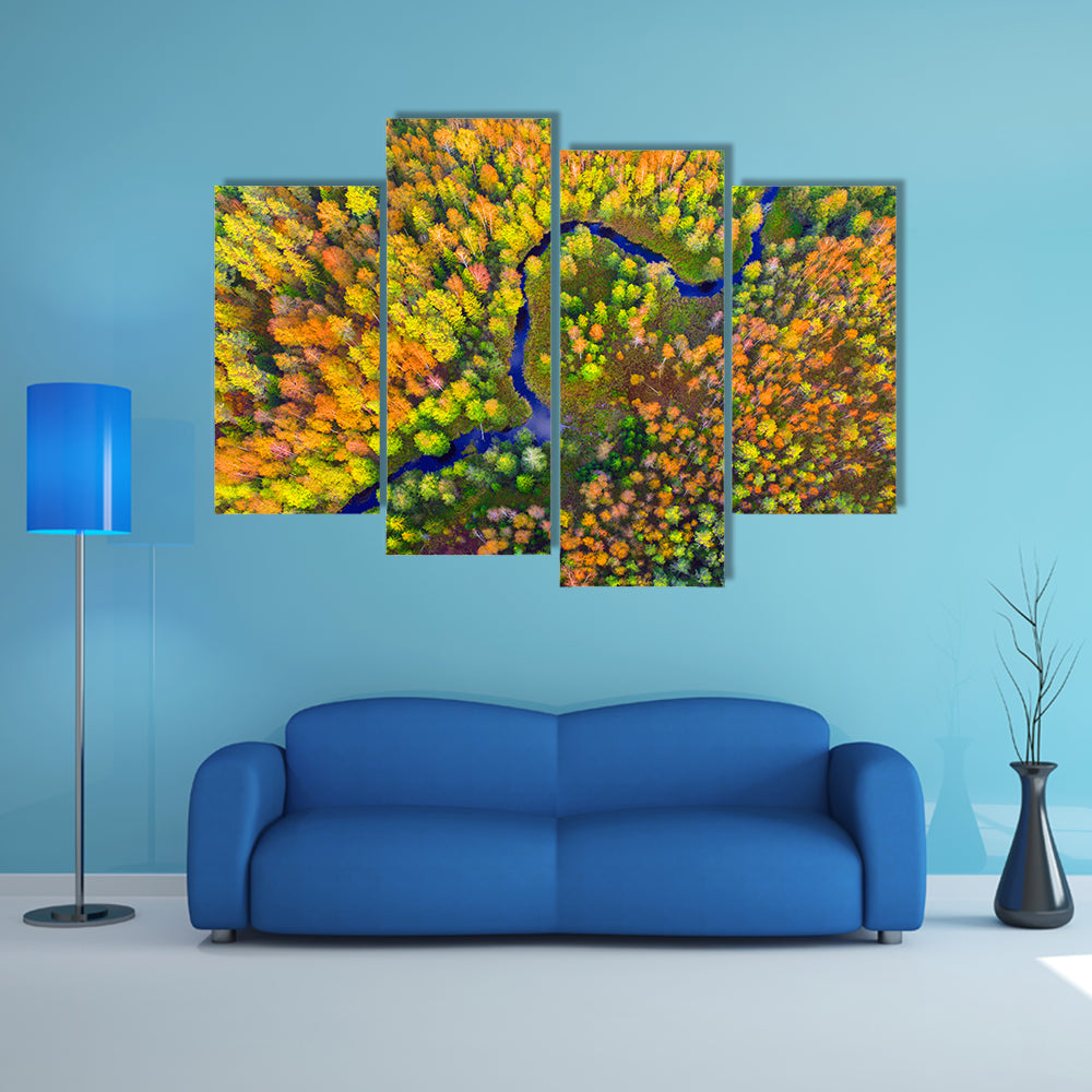 River In Autumn Forest Canvas Wall Art