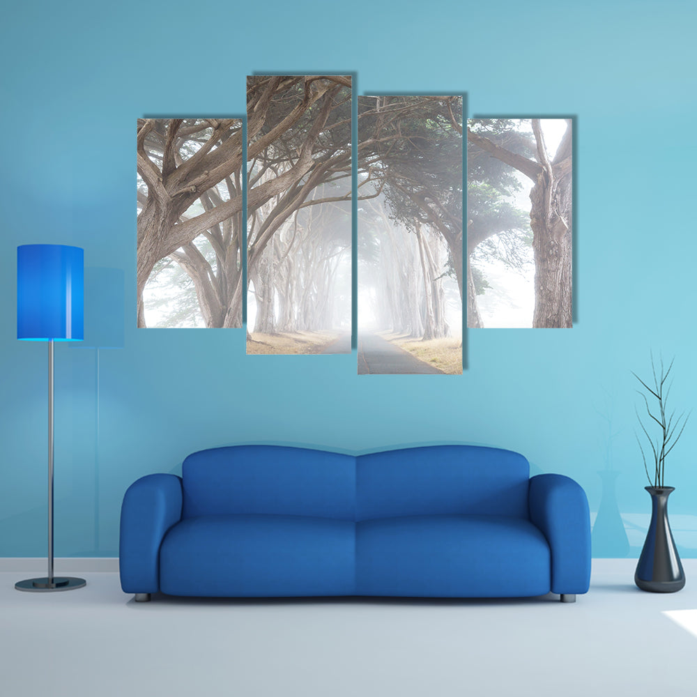 Misty Trees Alley In Foggy Weather Canvas Wall Art
