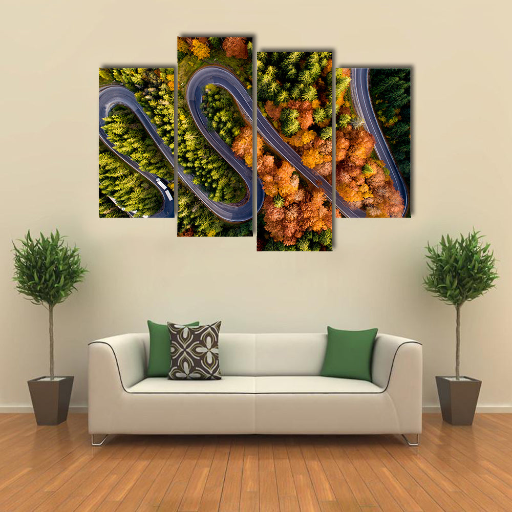 Serpentine Asphalt Road Canvas Wall Art