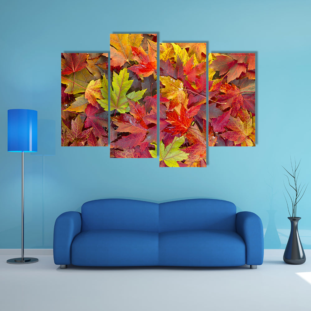 Colorful Maple Leaves Canvas Wall Art