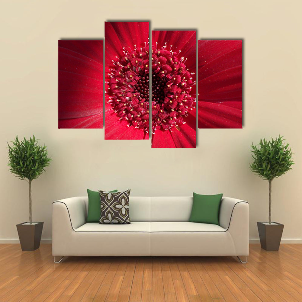 Red Gerbera Daisy Center Canvas Wall Art