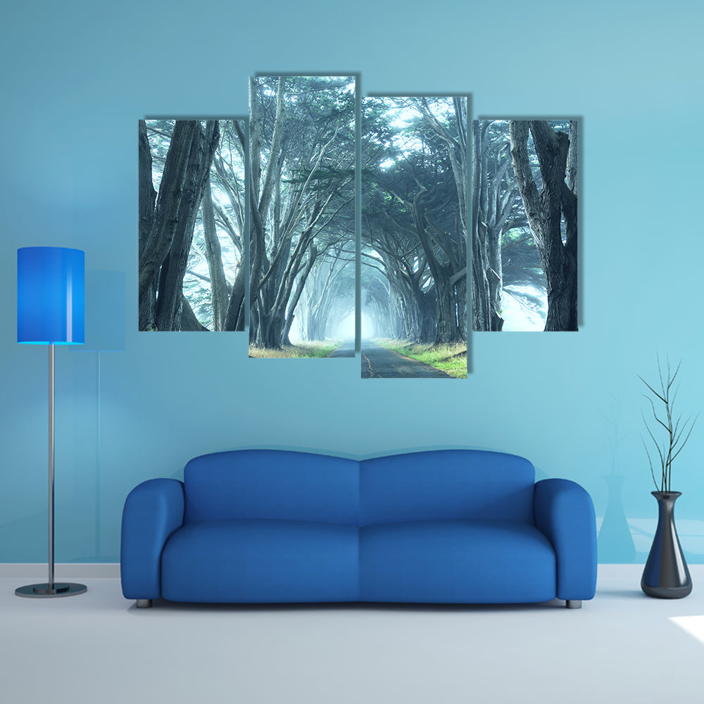Misty Trees Alley In Foggy Weather Canvas Wall Art
