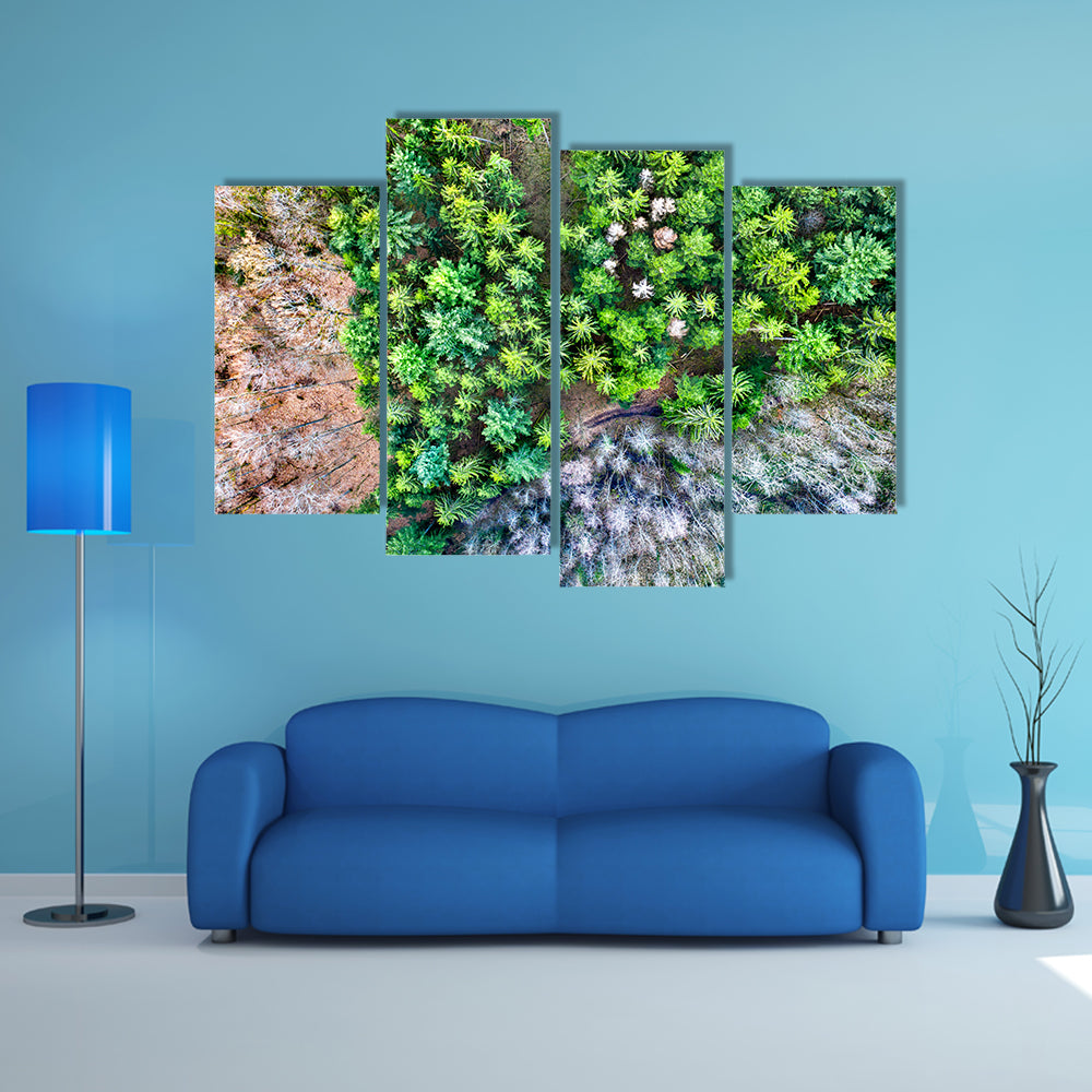 Aerial View Of Trees In The Vosges Mountains In Alsace France Canvas Wall Art